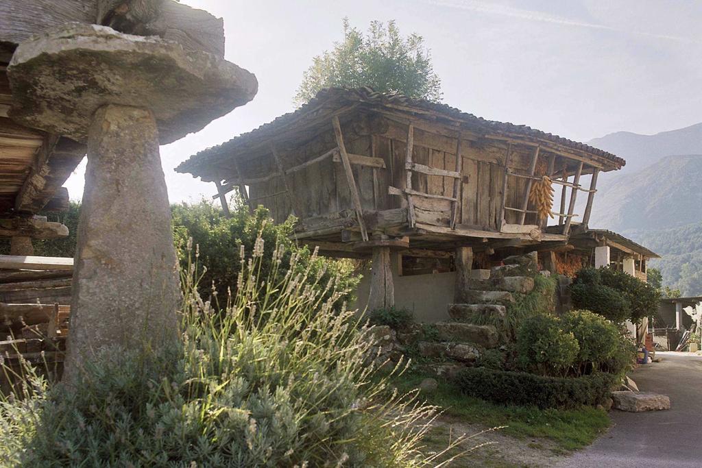 Hotel El Babu Caravia Exteriér fotografie
